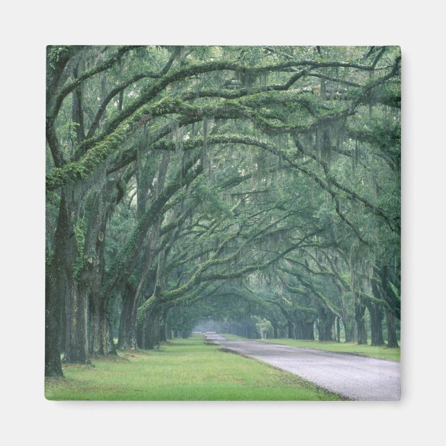 North America, U.S.A., Georgia, Savannah, Magnet (Front)