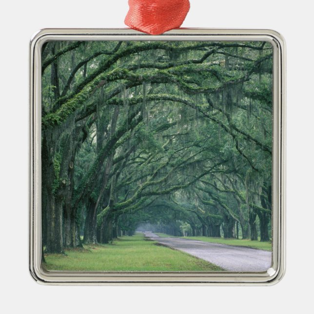 North America, U.S.A., Georgia, Savannah, Metal Ornament (Front)