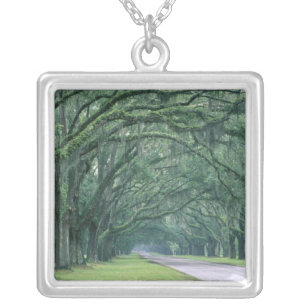 North America, U.S.A., Georgia, Savannah, Silver Plated Necklace