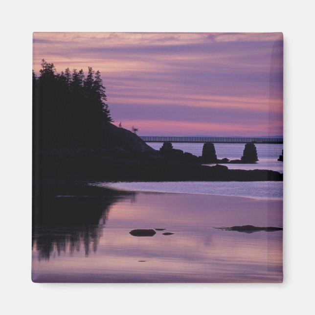 North America, US, ME, Isle Au Haut. Duck Magnet (Front)