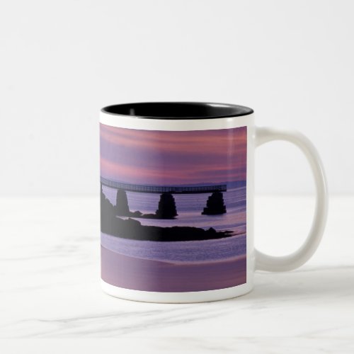 North America US ME Isle Au Haut Duck Two_Tone Coffee Mug