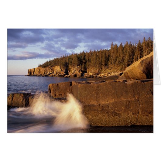 North America, US, ME, The rocky Maine coast. (Front Horizontal)