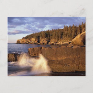 North America, US, ME, The rocky Maine coast. Postcard