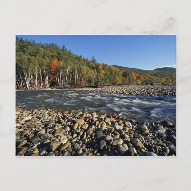 North America, US, NH, A cobble beach on the Postcard (Front)