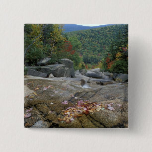 North America, US, NH, Fall foliage in New Button