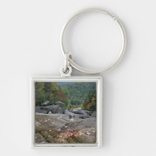 North America, US, NH, Fall foliage in New Keychain (Front)