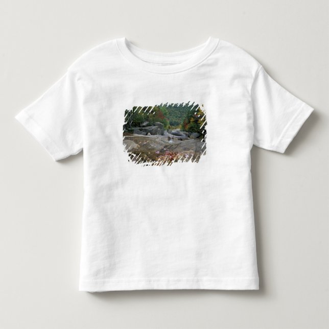 North America, US, NH, Fall foliage in New Toddler T-shirt (Front)