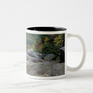 North America, US, NH, Fall foliage in New Two-Tone Coffee Mug