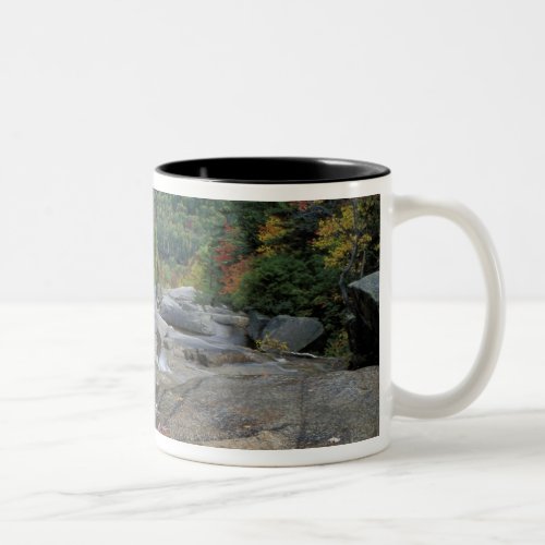 North America US NH Fall foliage in New Two_Tone Coffee Mug