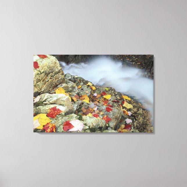 North America, US, NH, Fall in New England. Canvas Print (Front)