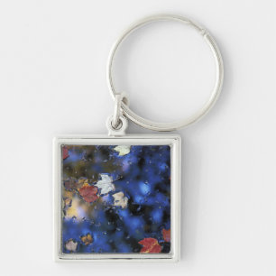 North America, US, NH, Leaves in a pond next Keychain