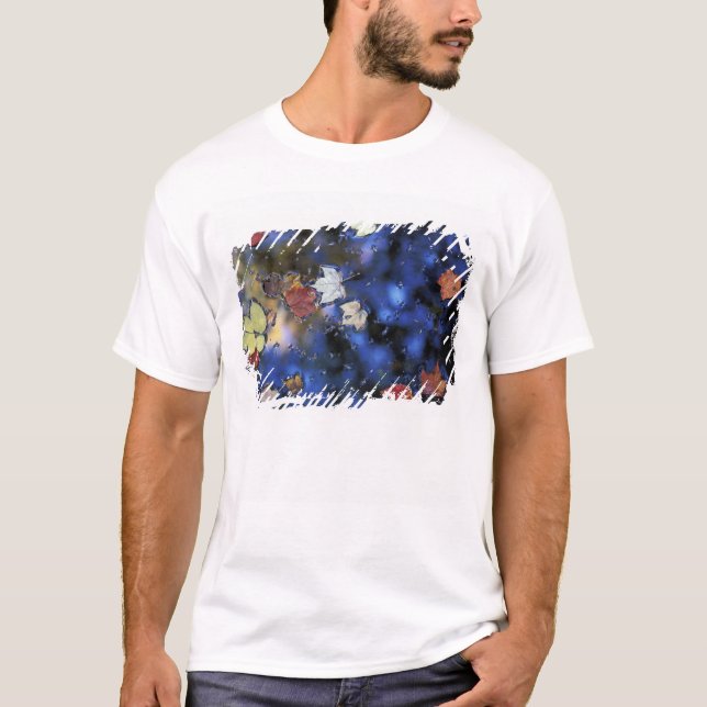 North America, US, NH, Leaves in a pond next T-Shirt (Front)