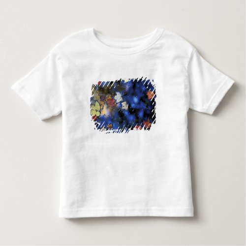 North America US NH Leaves in a pond next Toddler T_shirt