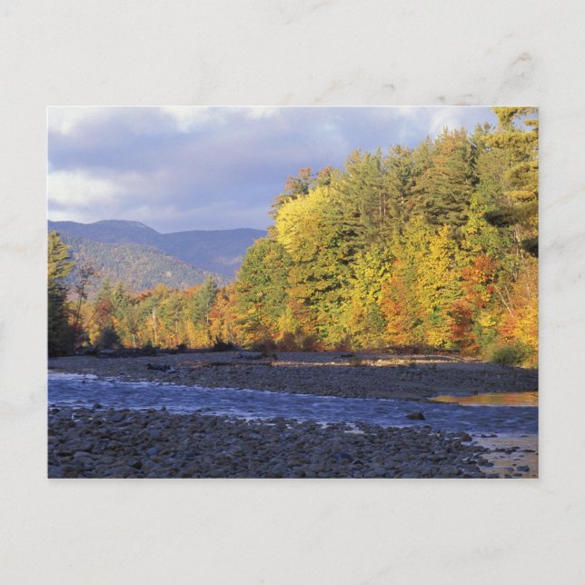 North America, US, NH, Saco River. Cobble Postcard (Front)