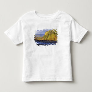 North America, US, NH, Saco River. Cobble Toddler T-shirt