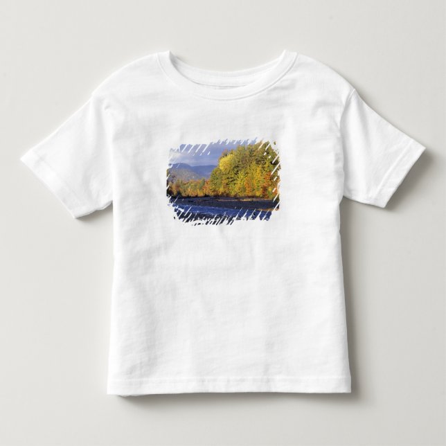 North America, US, NH, Saco River. Cobble Toddler T-shirt (Front)