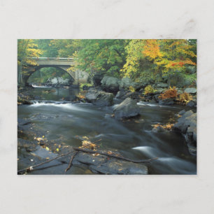 North America, US, NH, The bridge at Packers Postcard