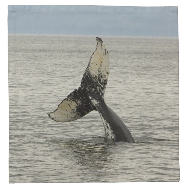 North America, USA, AK, Inside Passage. Humpback Cloth Napkin (Front)