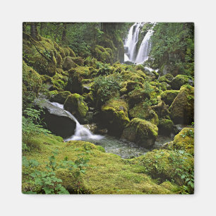 North America, USA, Alaska. A waterfall and Magnet
