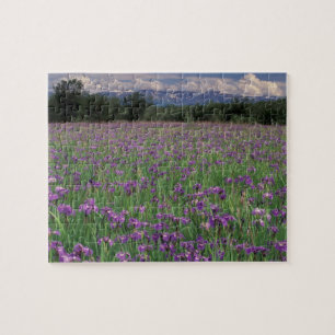 North America, USA, Alaska, Anchorage, Eklutna Jigsaw Puzzle
