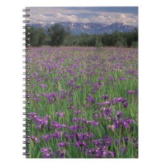 North America, USA, Alaska, Anchorage, Eklutna Notebook