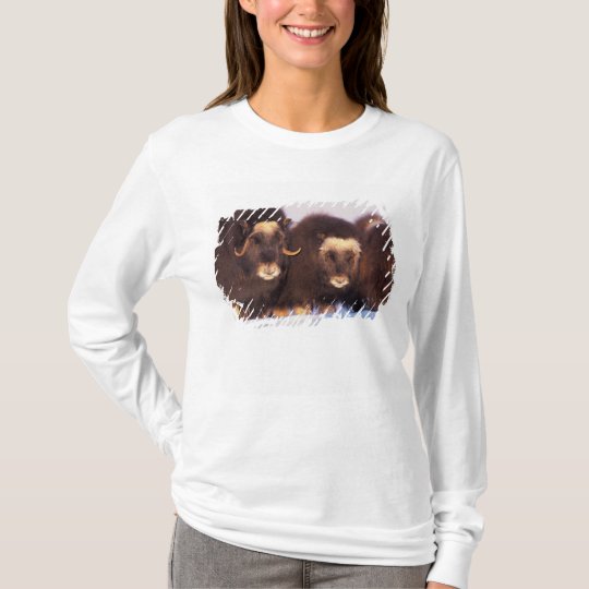 North America, USA, Alaska, Arctic Circle, T-Shirt | Zazzle.com