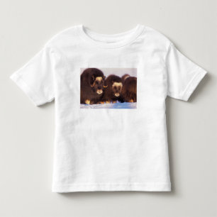 North America, USA, Alaska, Arctic Circle, Toddler T-shirt