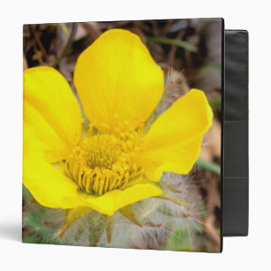 North America, USA, Alaska, Denali National 3 Ring Binder