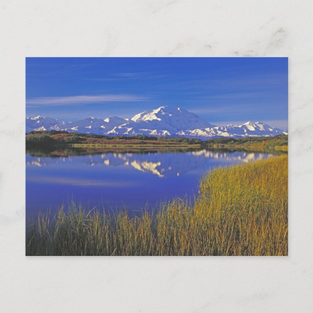 North America, USA, Alaska, Denali NP, Postcard (Front)