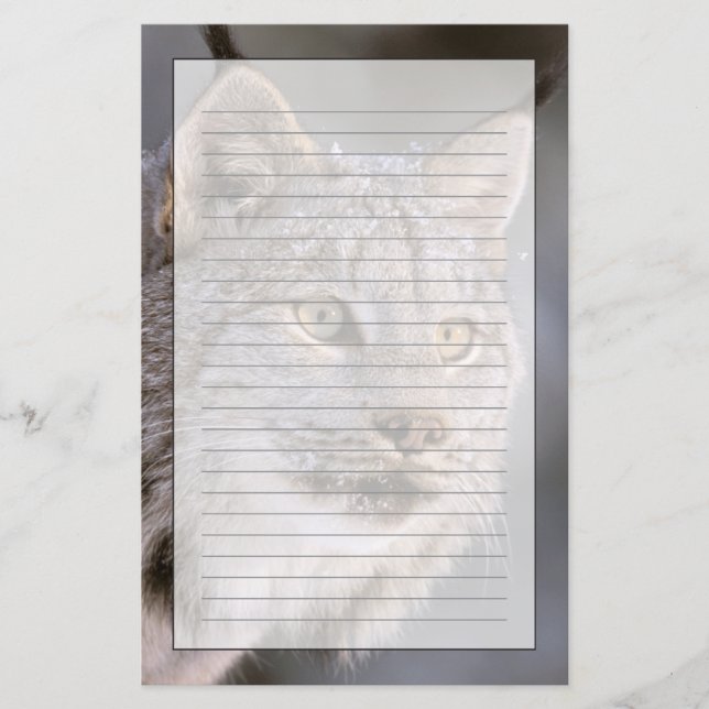 North America, USA, Alaska, Haines. Lynx (Felis 2 Stationery (Front)