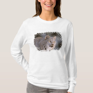North America, USA, Alaska, Haines. Lynx (Felis 2 T-Shirt
