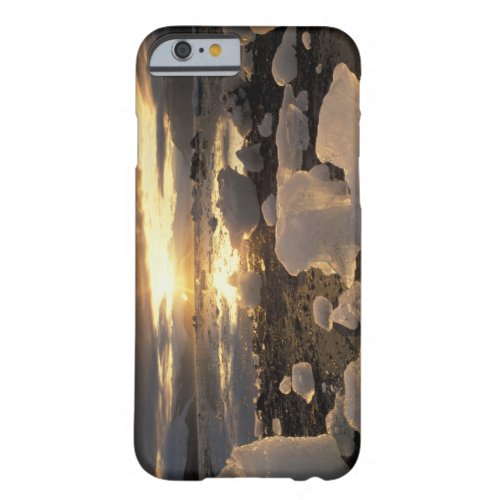 North America USA Alaska Ice Bay Icescape Barely There iPhone 6 Case