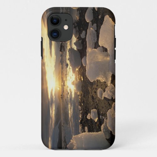North America USA Alaska Ice Bay Icescape iPhone 11 Case