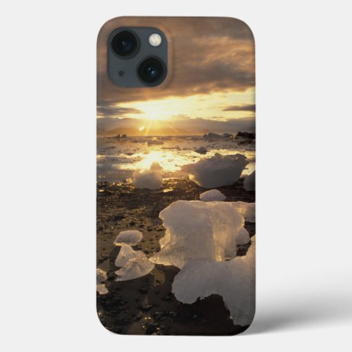 North America USA Alaska Ice Bay Icescape iPhone 13 Case