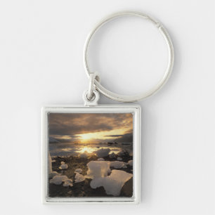North America, USA, Alaska, Ice Bay, Icescape, Keychain