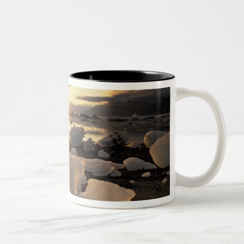 North America USA Alaska Ice Bay Icescape Two_Tone Coffee Mug