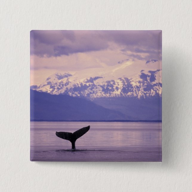 North America, USA, Alaska, Inside Passage. Button (Front)