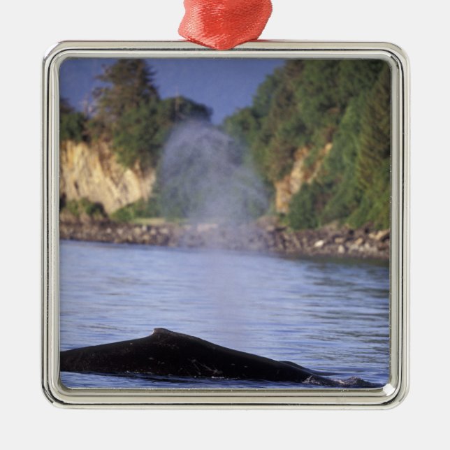 North America, USA, Alaska, Inside Passage. Metal Ornament (Front)