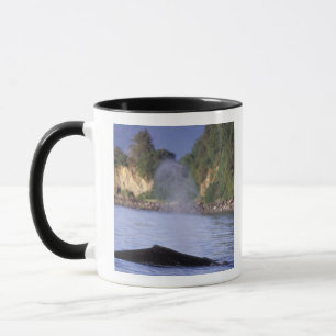 North America, USA, Alaska, Inside Passage. Mug