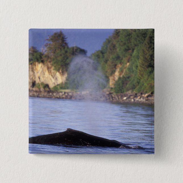 North America, USA, Alaska, Inside Passage. Pinback Button (Front)