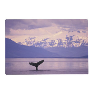 North America, USA, Alaska, Inside Passage. Placemat
