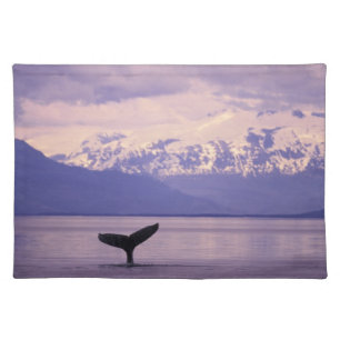 North America, USA, Alaska, Inside Passage. Placemat
