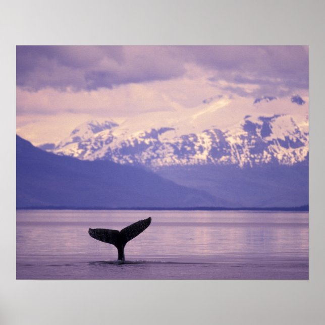 North America, USA, Alaska, Inside Passage. Poster (Front)