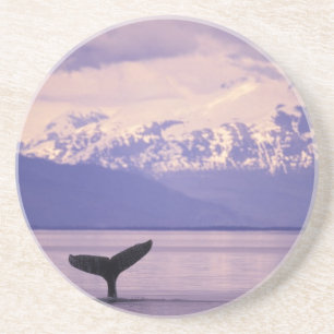 North America, USA, Alaska, Inside Passage. Sandstone Coaster