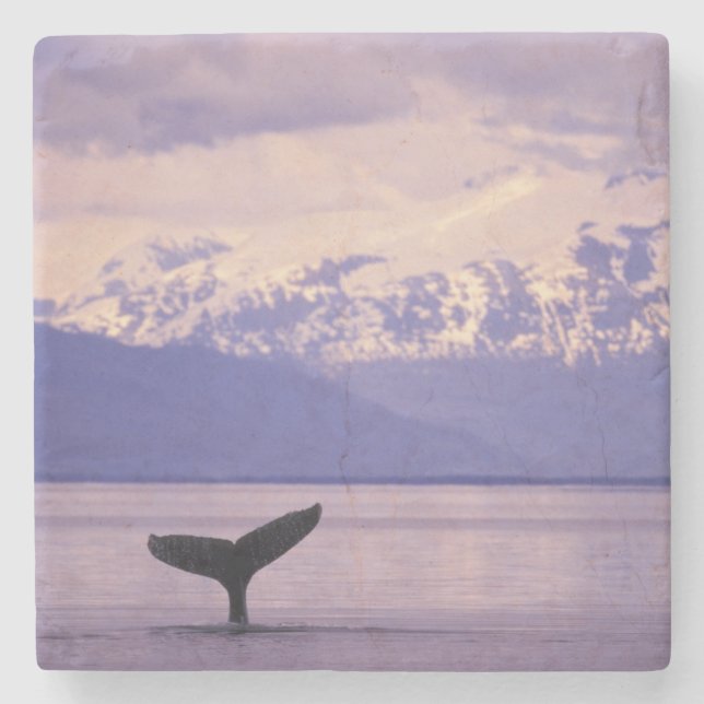 North America, USA, Alaska, Inside Passage. Stone Coaster (Front)
