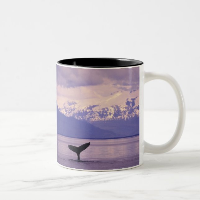 North America, USA, Alaska, Inside Passage. Two-Tone Coffee Mug (Right)