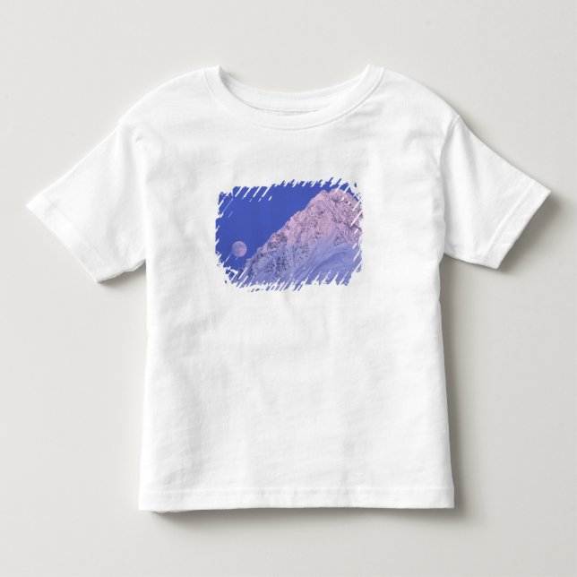 North America, USA, Alaska, Knik River, Toddler T-shirt (Front)