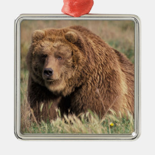 North America, USA, Alaska, Kodiak Island, Metal Ornament