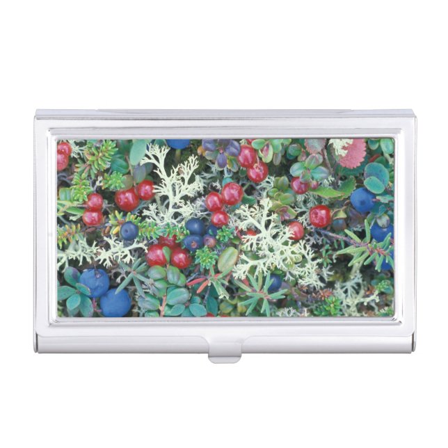 North America, USA, Alaska, Landscape, berries Case For Business Cards (Front)