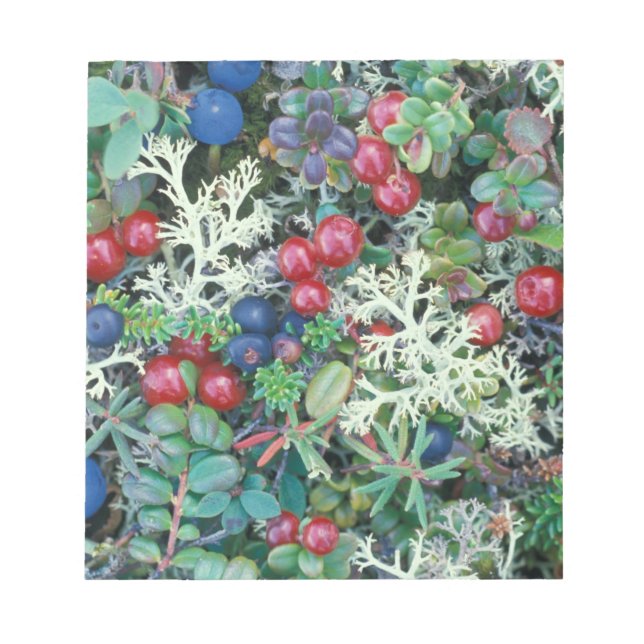 North America, USA, Alaska, Landscape, berries Notepad (Front)